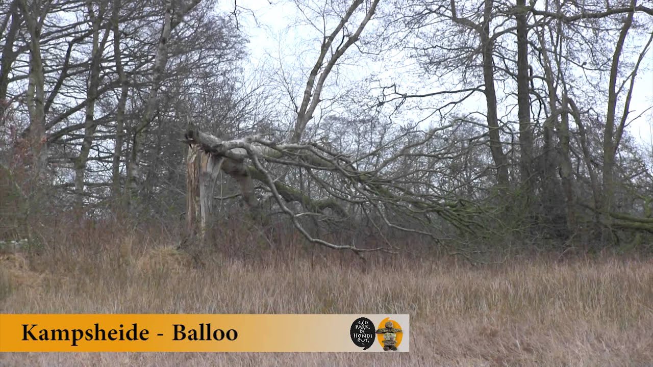 Kampsheide - Balloo - Drenthe