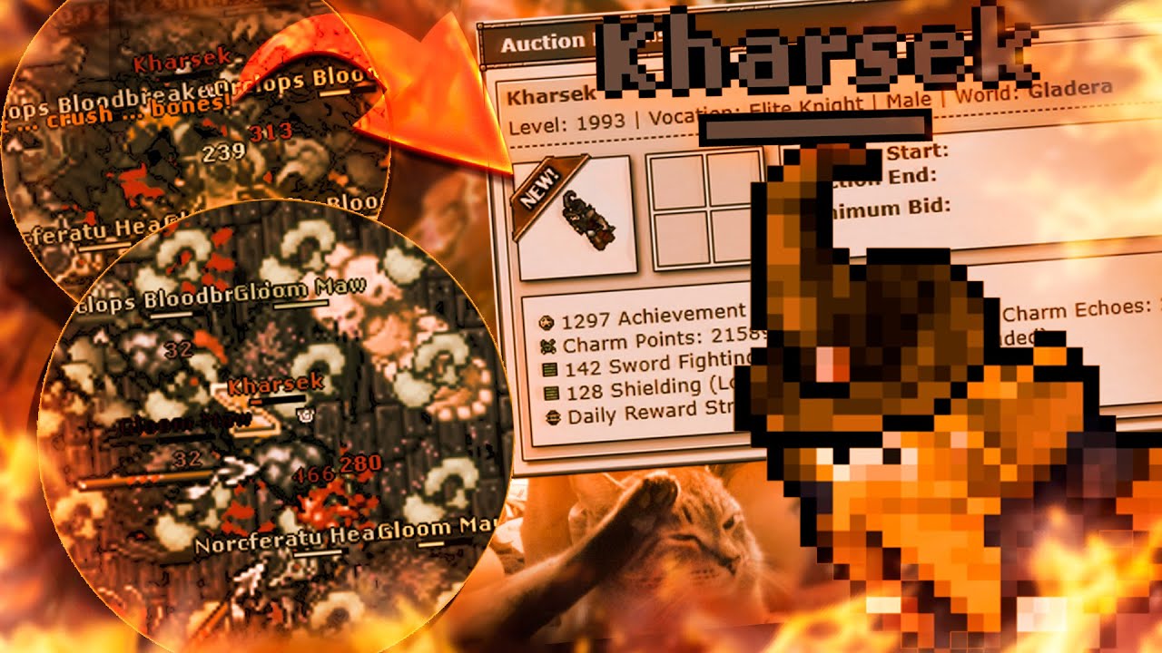 O FIM DE UMA LENDA NO TIBIA! KHARSEK NO BAZAAR | A NOVA HUNT DO DP QUE DA MUITA EXP! HAHA