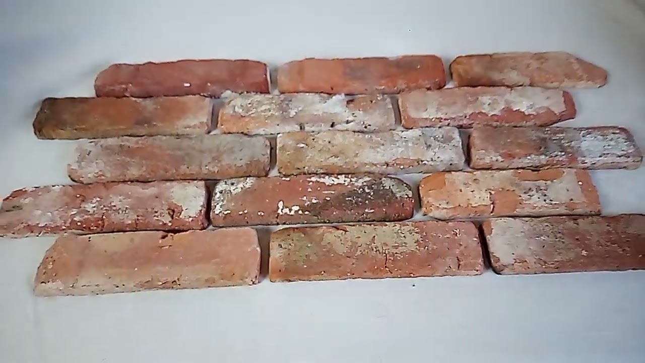 Ziegel riemchen Wand verblender verkleidung Altstadt Feldbrand Backsteine echte gotische Klinker