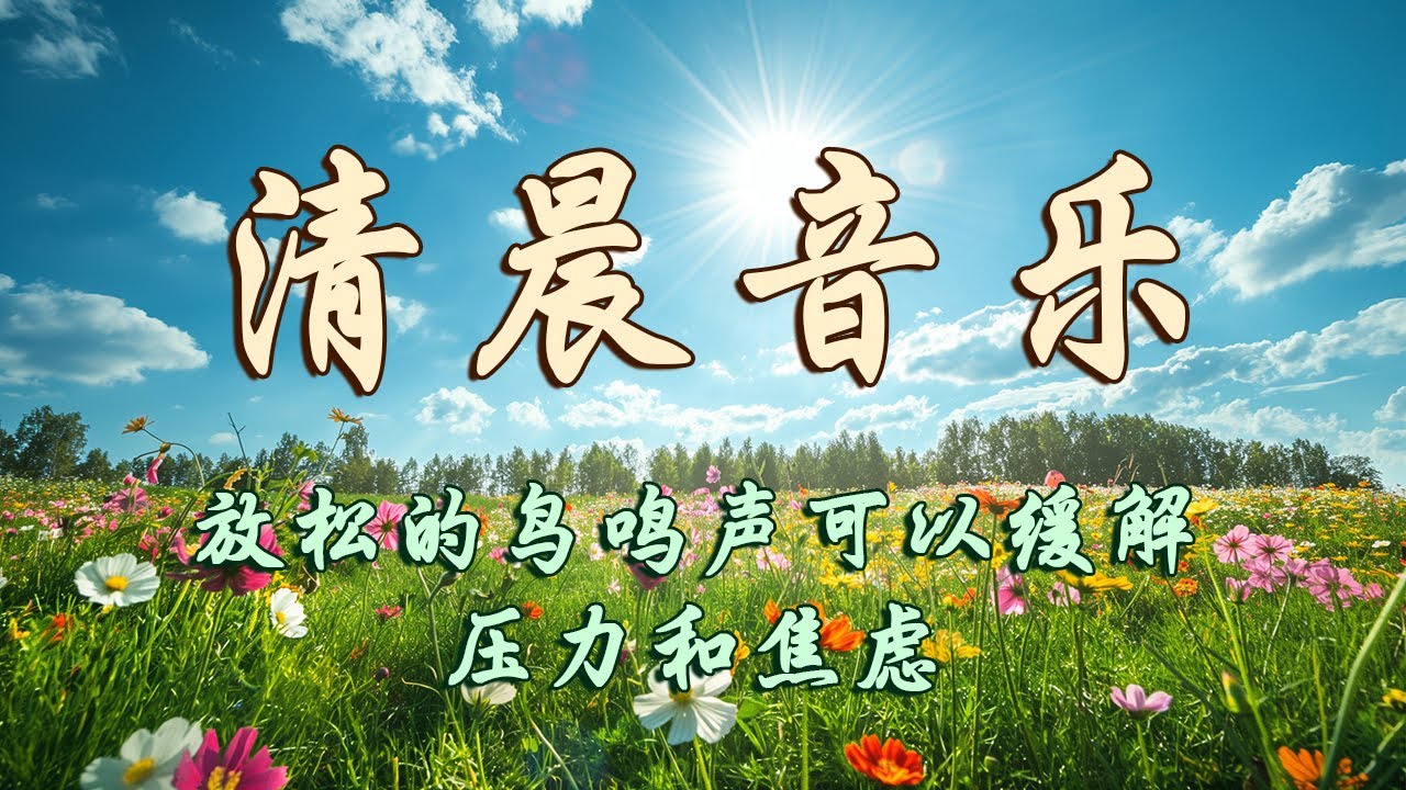 早上聽的好歌 , 清除負面能量🎵3小时的沉静音乐，充满正能量的钢琴音乐_早晨的放松音乐，鸟的声音, 早上康復音樂, 音樂讓您感到舒適