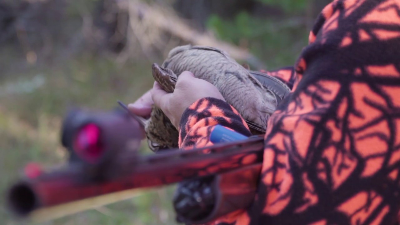 ATA TEAM WOODCOCK HUNTING / &Ccedil;ULLUK AVI