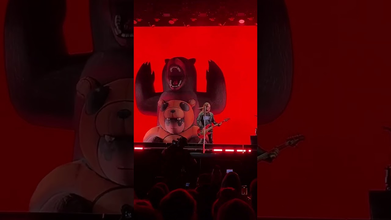 Fall Out Boy - Disloyal Order of Water Buffaloes live at I Wanna Be Tour Curitiba