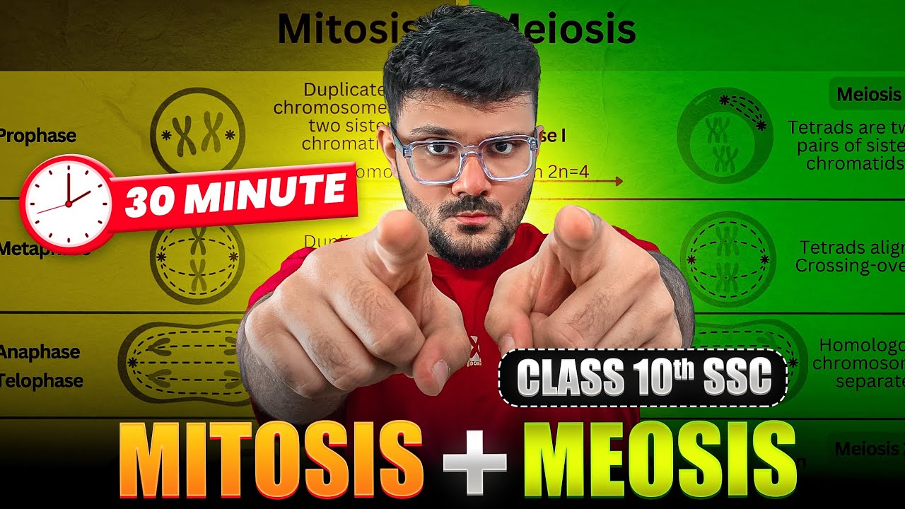 Cell Division - Mitosis & Meiosis🤩✅ || Class 10th Science || Life Processes in Living Organisms - 1