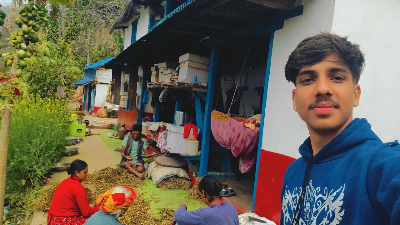 aajha chunab ko mahol le garda dasai aaya jasto bhayo gau ma