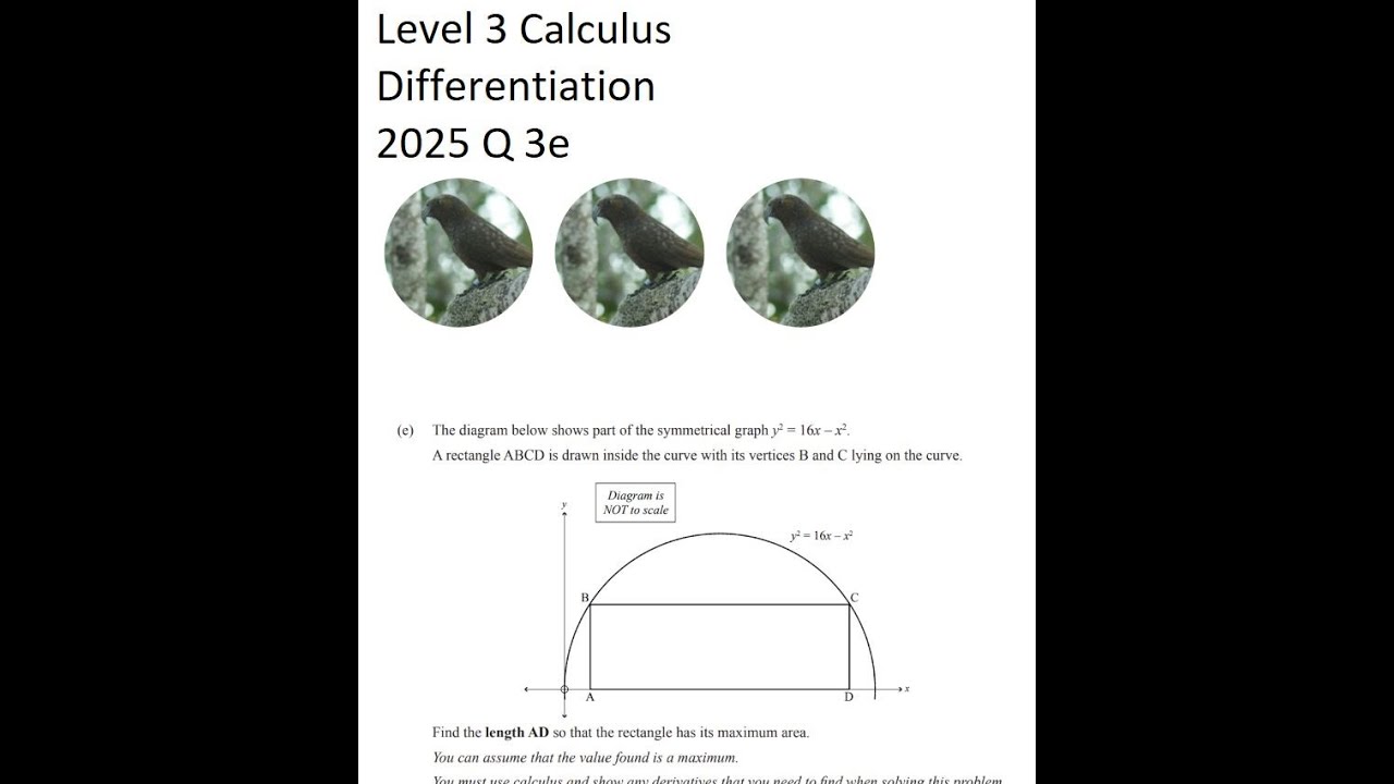 Level 3 Differentiation 2025 Q3e Area of rectangle