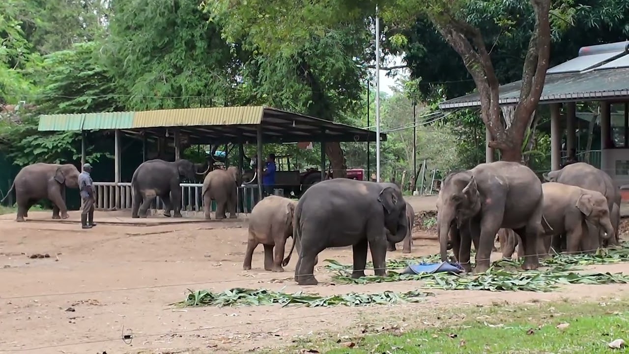 32Hambantota/Sri Lanka