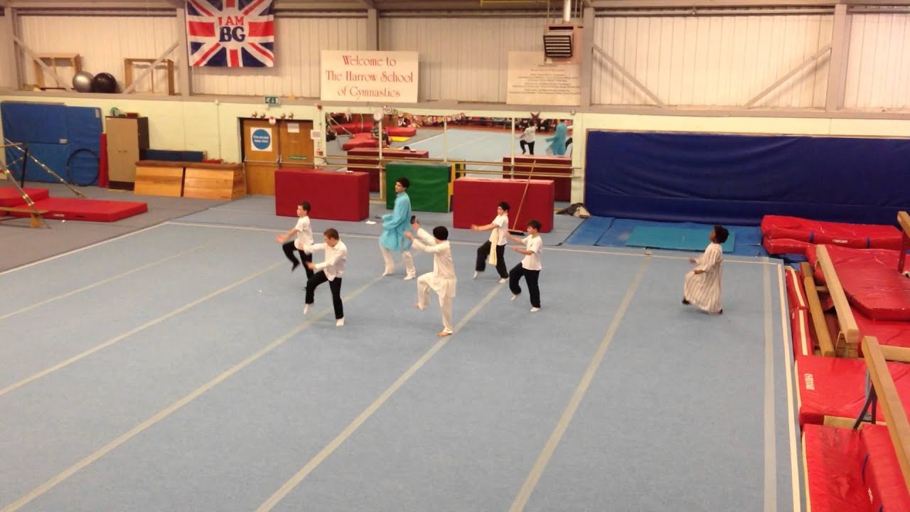 Harrow School of Gymnastics Squad Party 2013 Boys Display