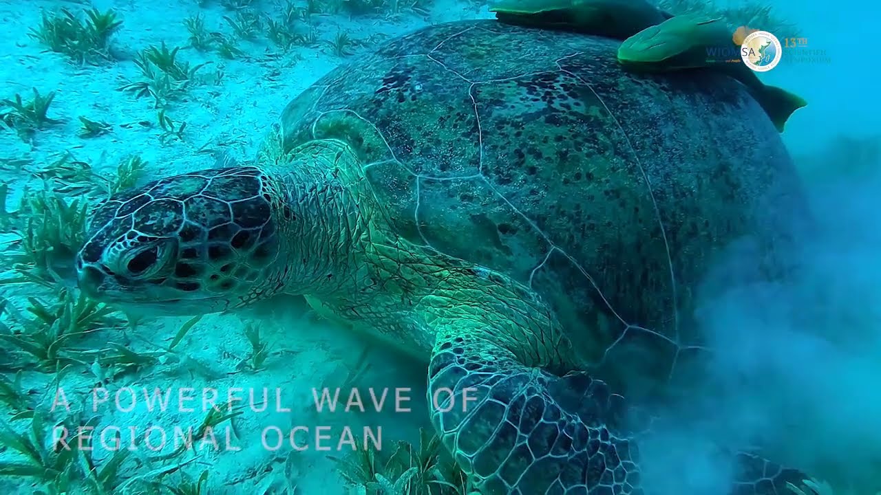 One Ocean, One Future