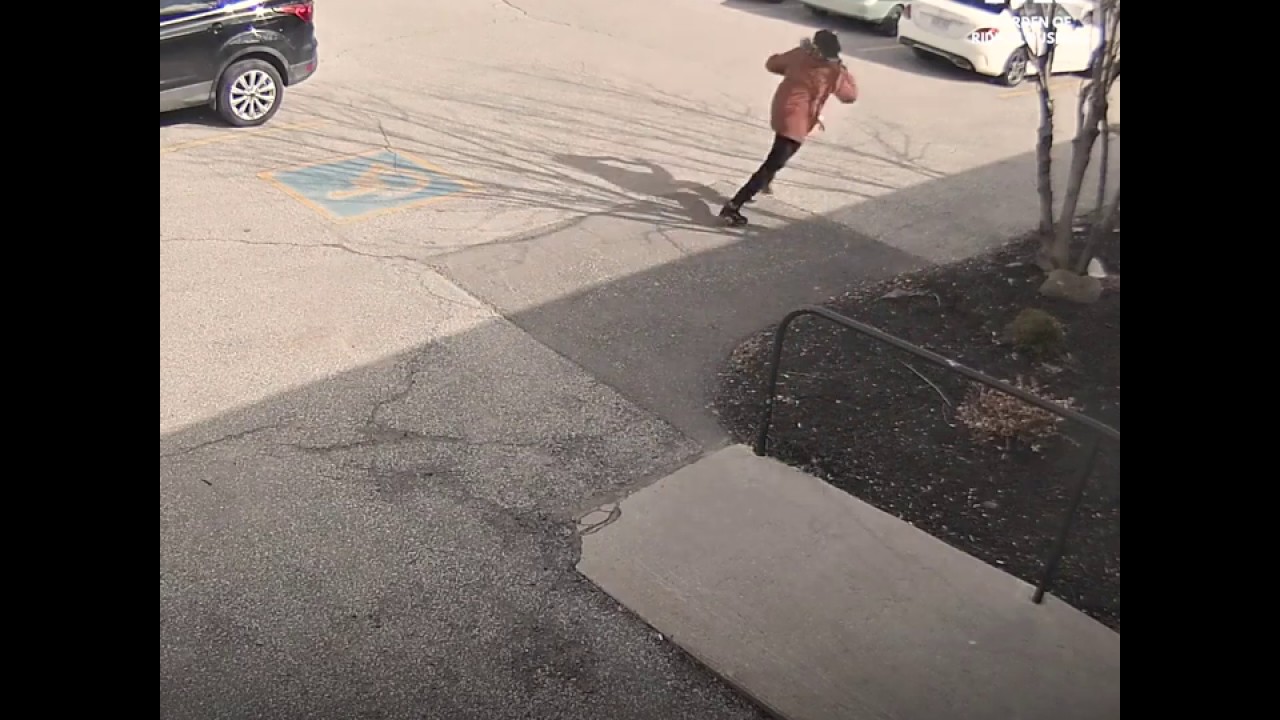 Goose attacks in Parking Area | Soo Dangerous