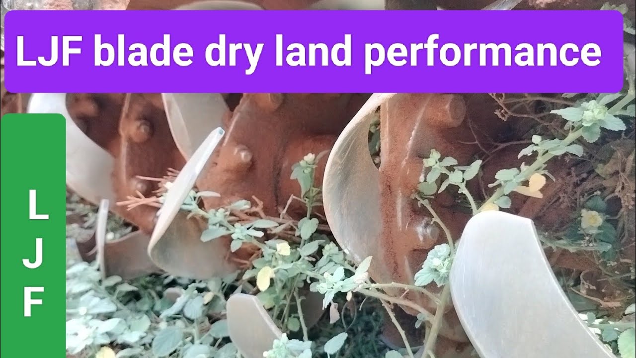 LJF blade dry land performance