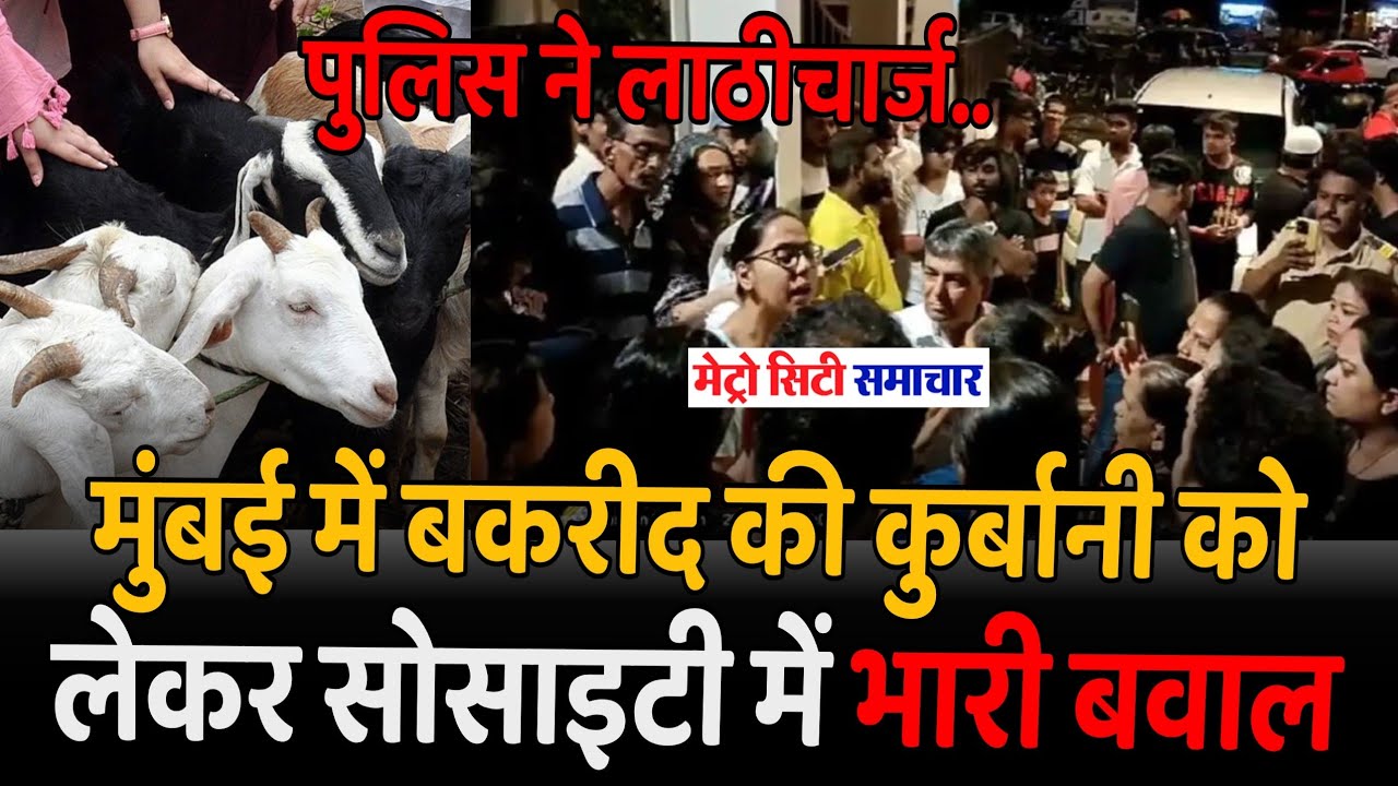 Mumbai : Mira Bhayandar JP Infra North Society में बकरों को लेकर बवाल | Mumbai News