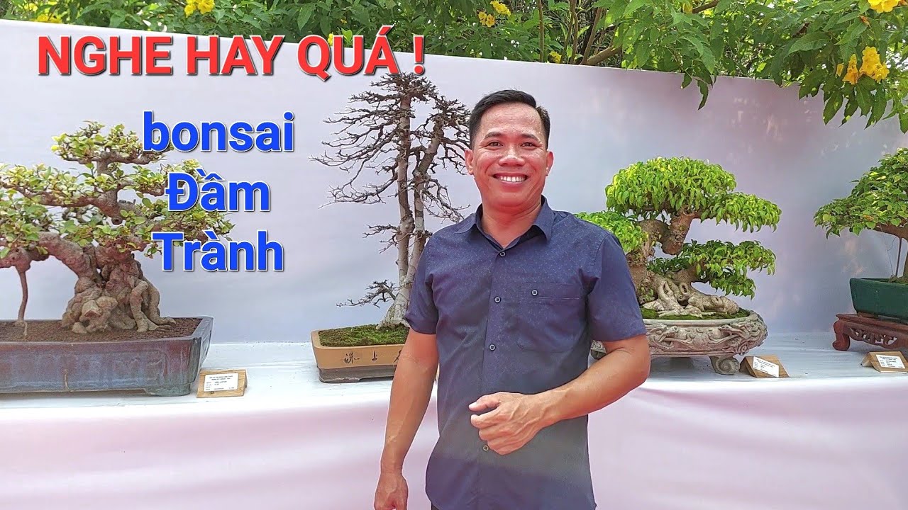 Anh THÙY có những chia sẻ CỰC KỲ HAY * không có chất văn thơ , không thể làm nên tp đẹp được* .