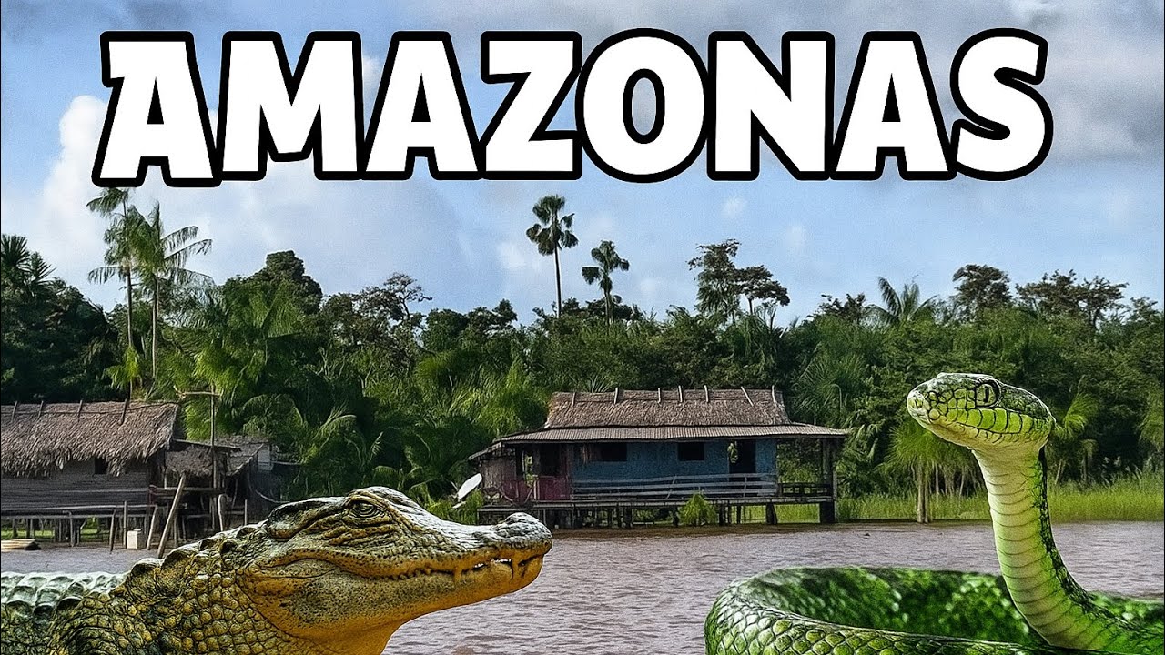 Rio Amazonas / Afuá 🇧🇷 