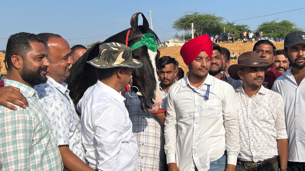 भारत के सबसे बड़े अश्वसंग्राम में कोन रहा सर्वश्रेष्ठ #pushkarfair2025 
