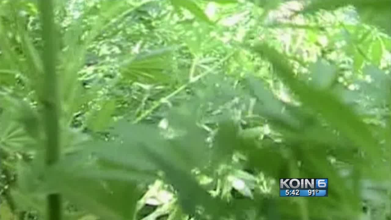 Lawmakers call for quicker start for retail pot sales