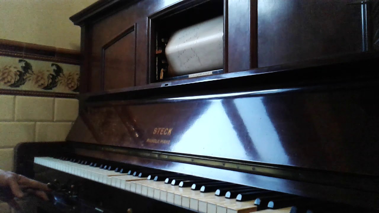 Grieg | Romance sans paroles II/II | Pianola Steck player piano |