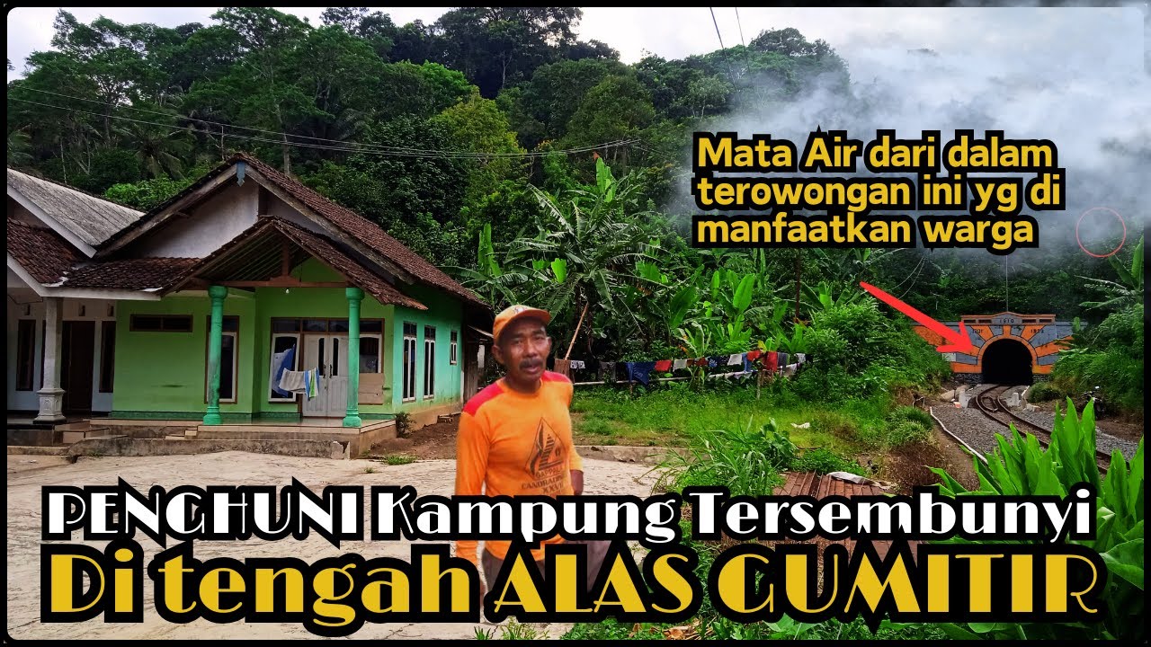 Kehidupan TERSEMBUNYI di tengah ALAS GUMITIR