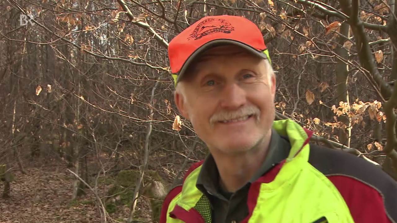 Illegale M&uuml;llentsorgung im Wald | BR24