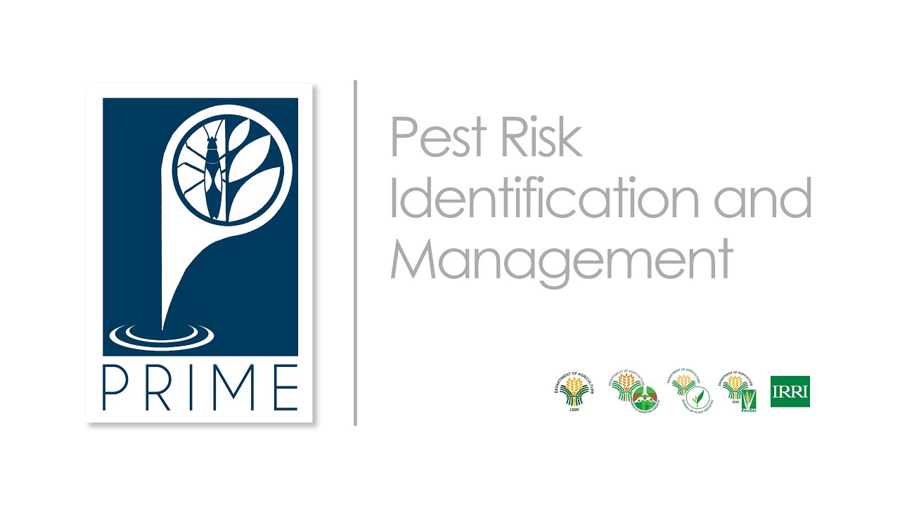DA-PRIME Project: Pest Risk Identification and Management (Official Video)
