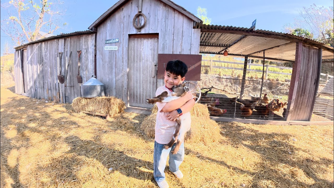 The treat farm hotel สระบุรี 2026