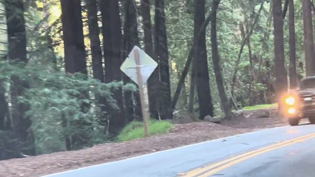 Drive through Redwood forest in Felton California 
