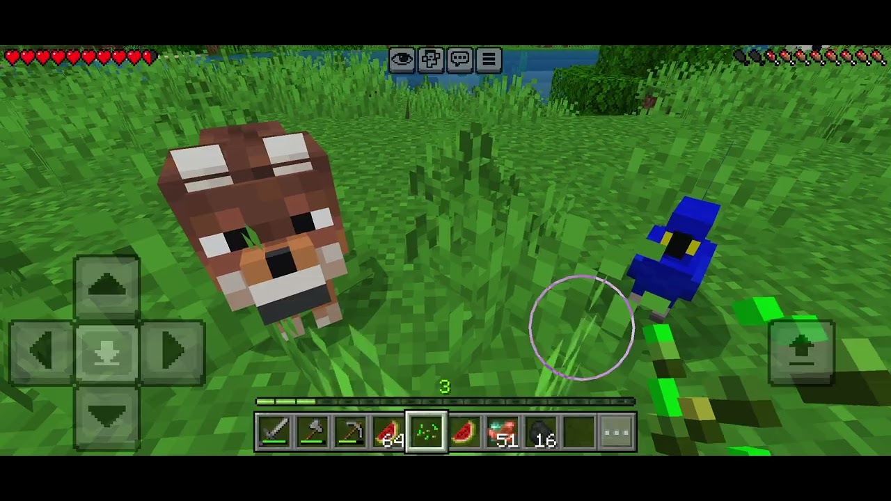 Minecraft #oyunumadokunma 