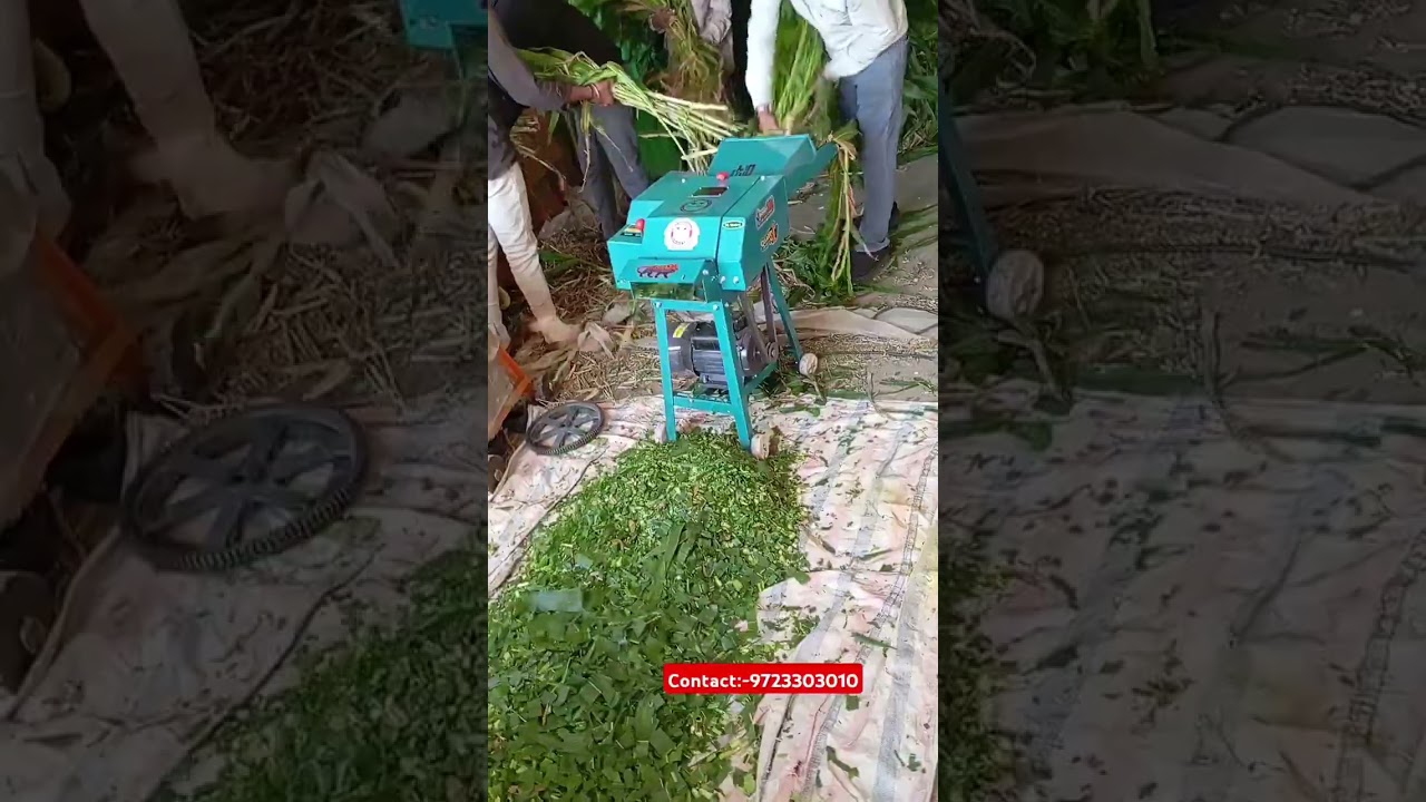 Indian no 1 chaff cutter machine #farming #machine #agriculture #farmer
