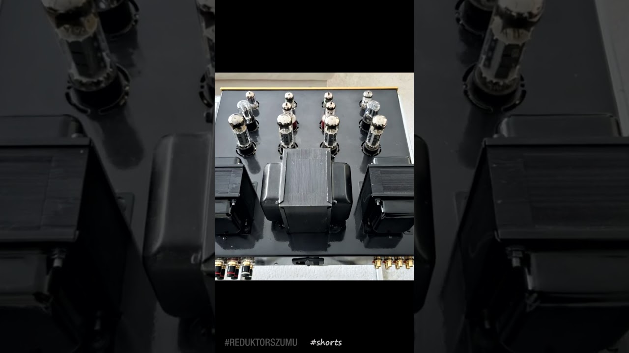 Kto chce posłuchać 12 małp? #Reduktor Szumu #shorts