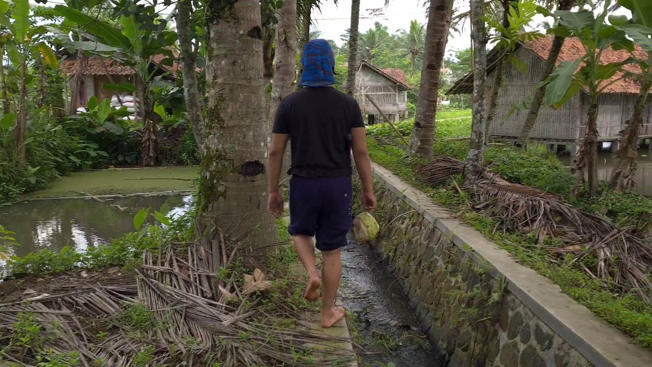 [WCD Competition] Journey Of Coconut Power During Pandemic