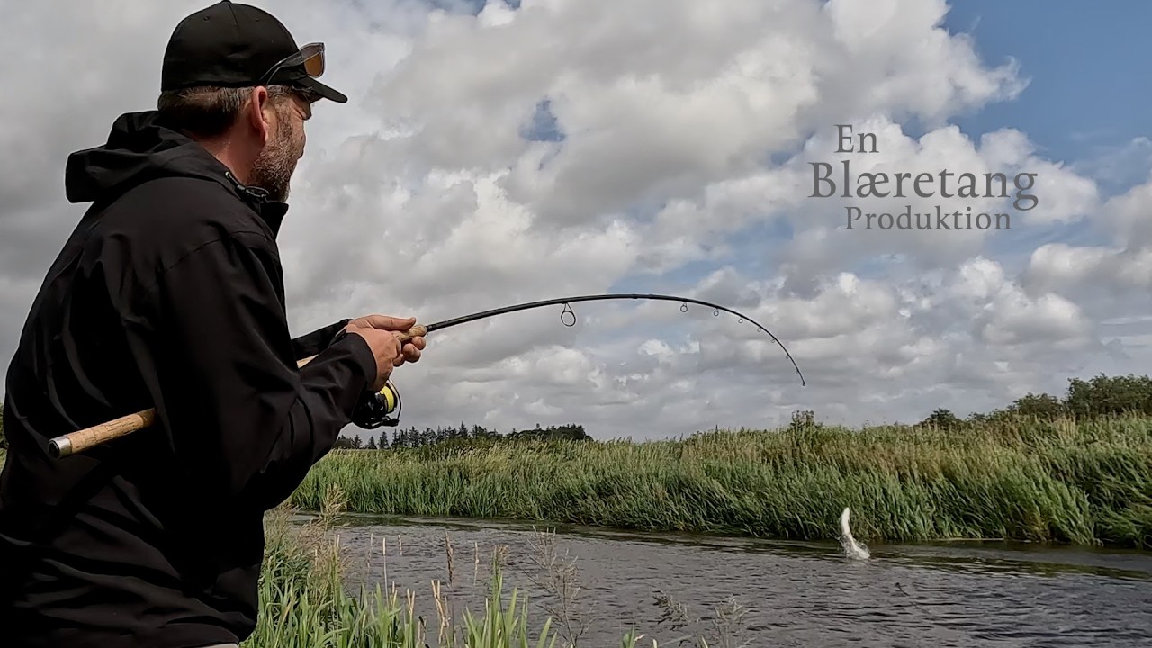 Havørredfiskeri - Hvor er de store fisk?