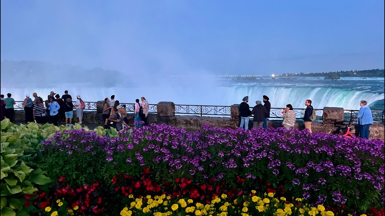 WEGO Places Tours is live! 💚 Friday Night Walk - Niagara Falls 🇨🇦