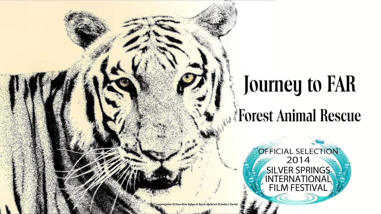 Journey To FAR-Forest Animal Rescue