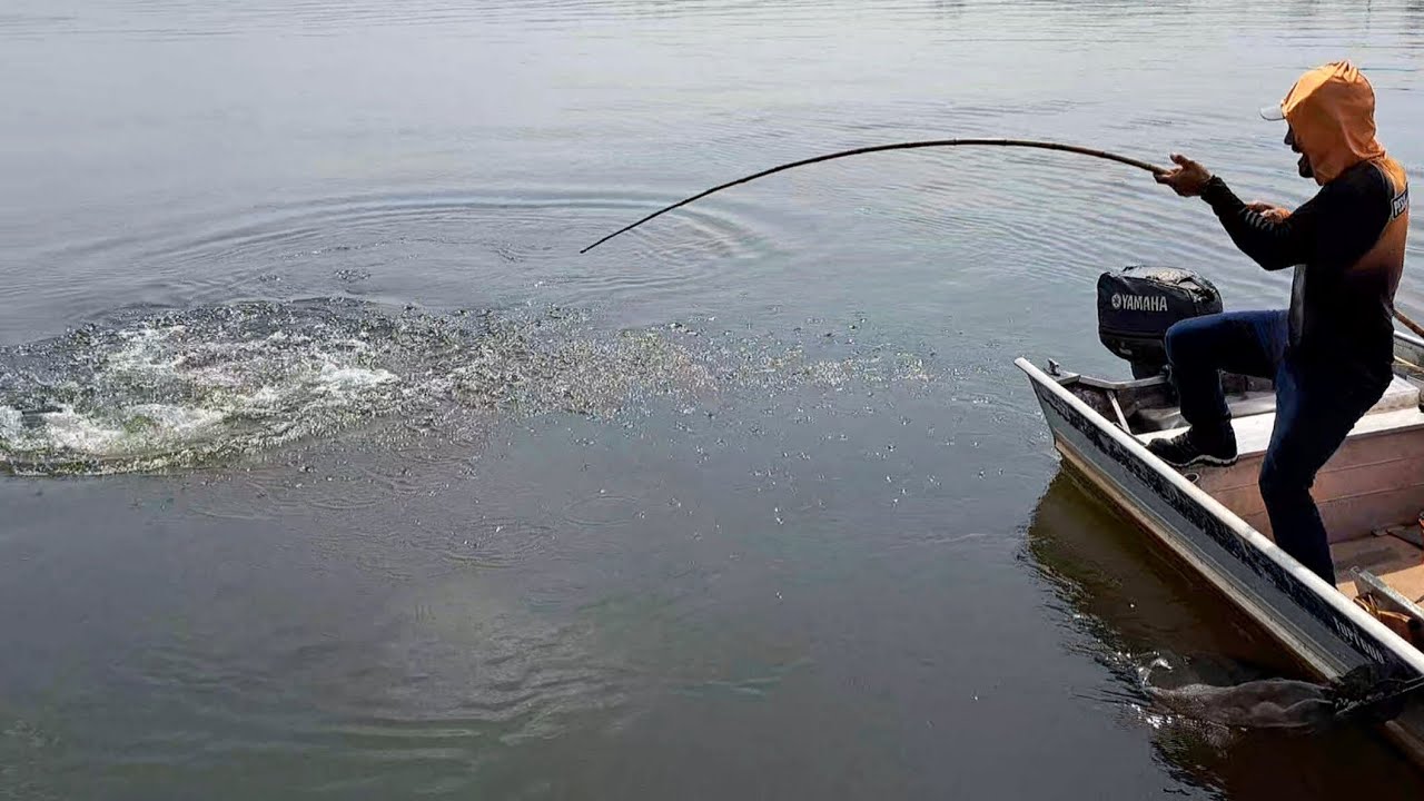 PEIXE DE 11 QUILOS NO VARÃO DE BAMBU , NUNCA VI TANTA BRUTALIDADE EM UM SÓ PEIXE./PESCARIA RAIZ.