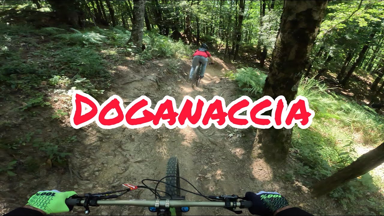 DOGANACCIA