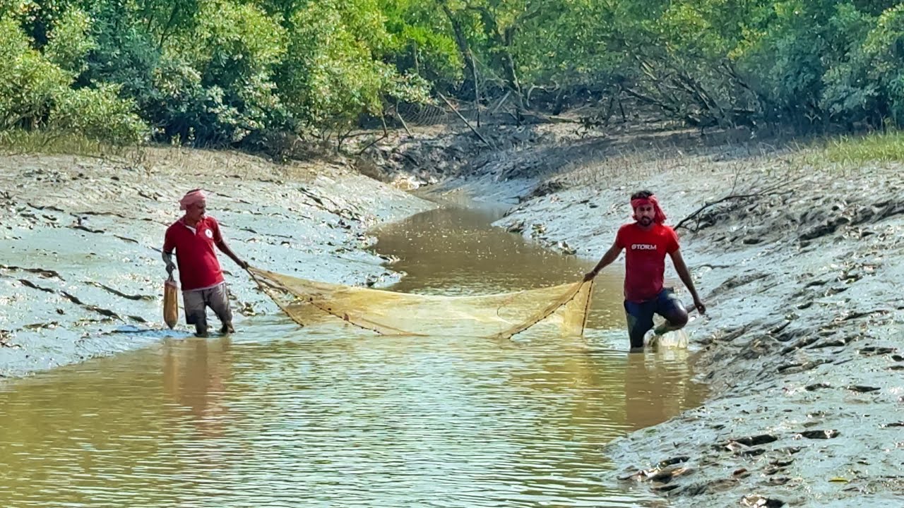 সুন্দরবন জঙ্গলের তিনটে খারিতে হাত জাল দিয়ে,প্রচুর মাছ ধরলাম!!!