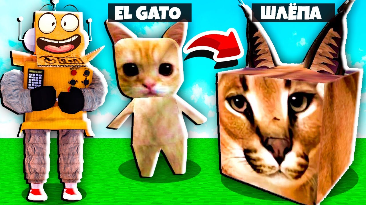 EL GATO ЛУЧШИЙ ДРУГ ШЛЁПЫ! ЭВОЛЮЦИЯ ЖИЗНИ ШЛЁПЫ В РОБЛОКС НУБ и ПРО ВИДЕО ROBLOX raise a floppa 2