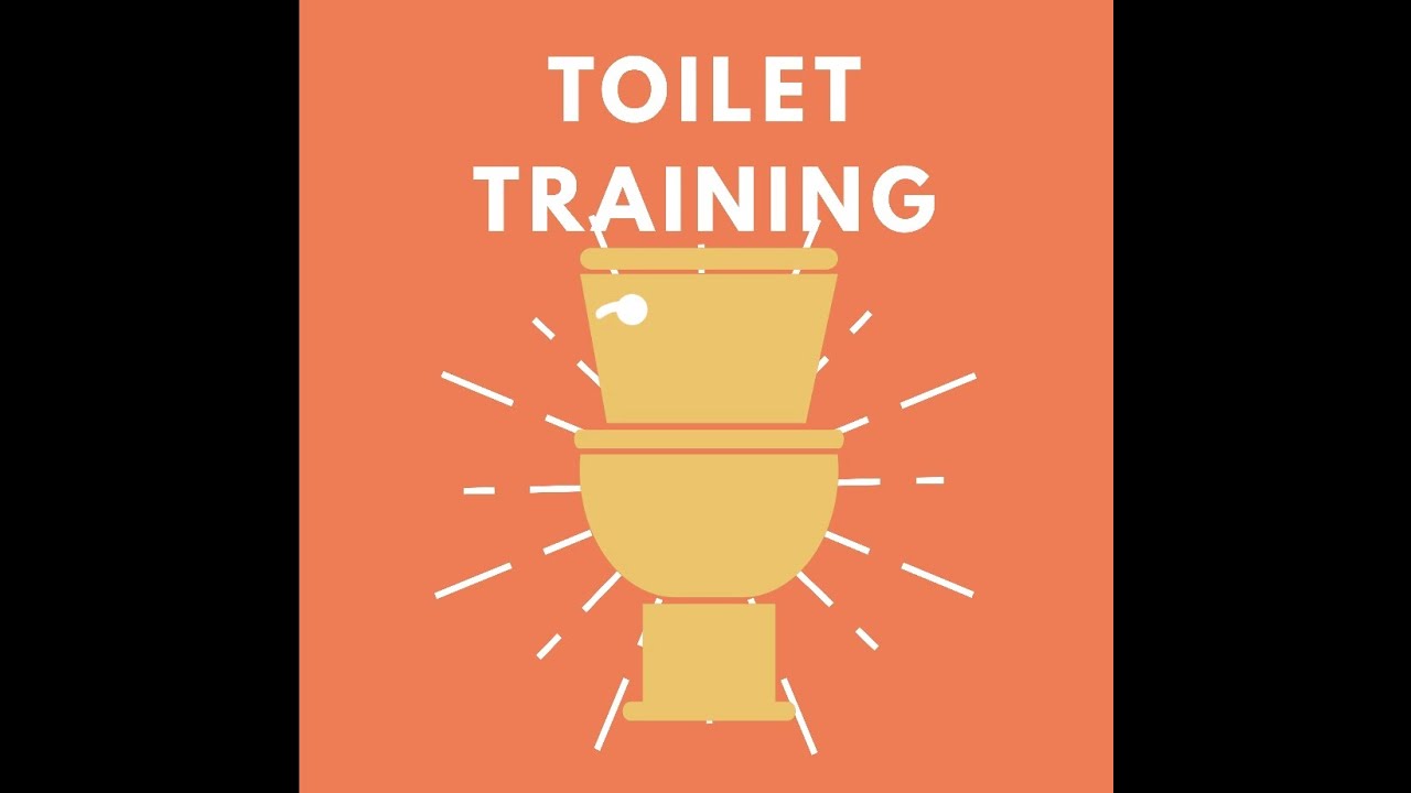 Toilet Training Webinar