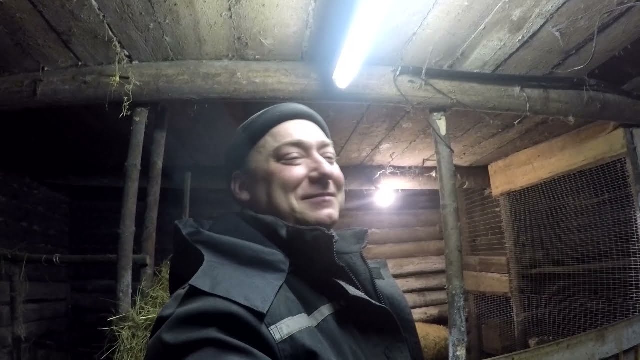 Т40 чистка снега РОЖДЕСТВЕНСКИЕ выходные