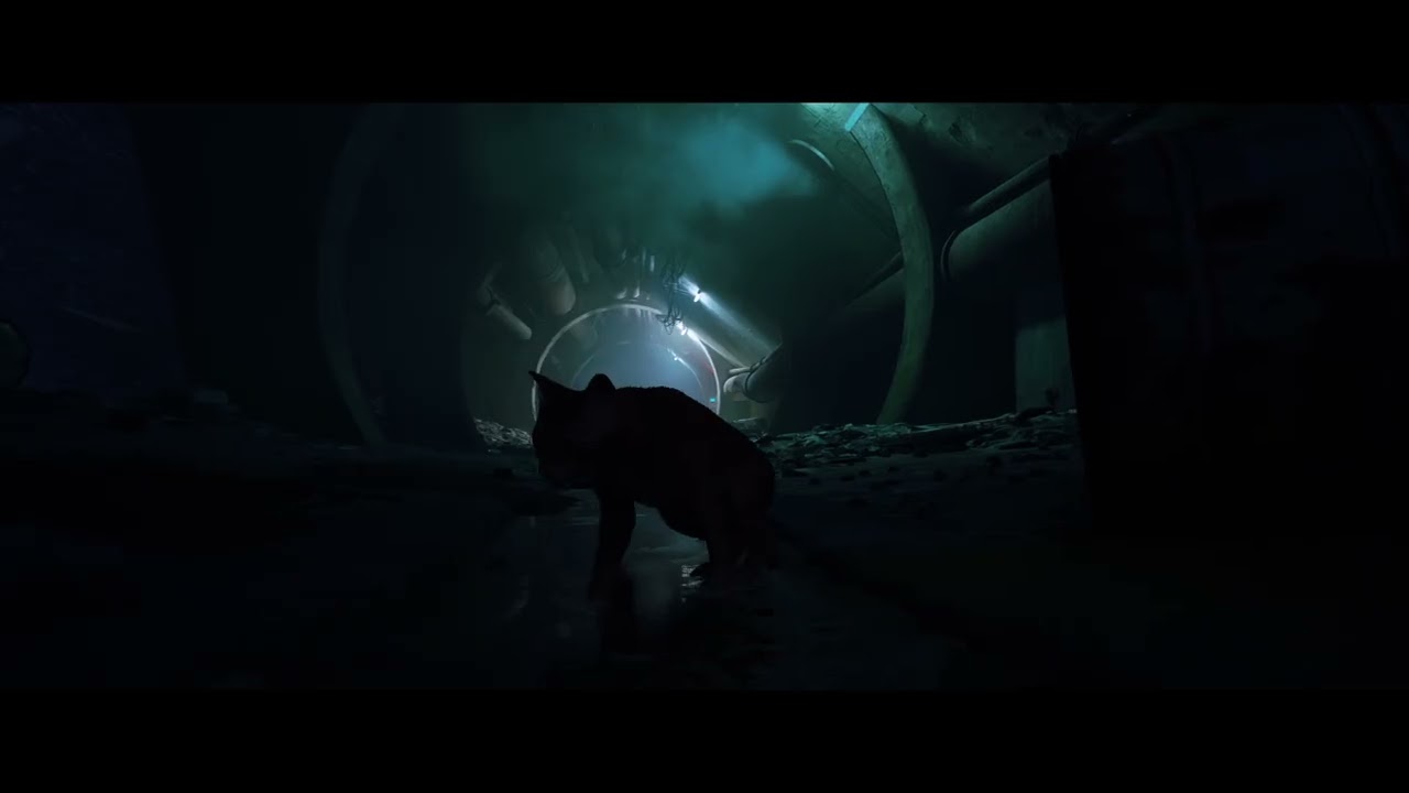 Stray Parte 1 sin comentarios, PS5 60Fps Gameplay