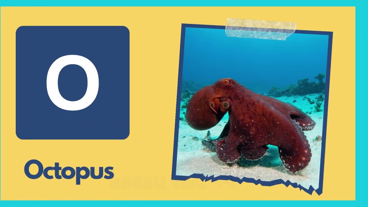 ABC Alphabet Animals &ndash; Learn The Alphabets, Animal Names For Kids And With Kids | Animal Alphabet