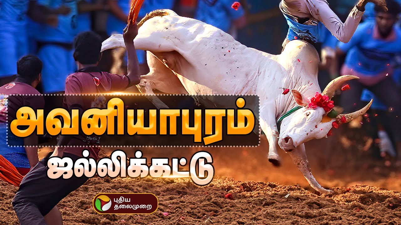 🔴LIVE: Avaniyapuram Jallikattu 2026 | அதிரும் அவனியாபுரம் ஜல்லிக்கட்டு 2026 | Pongal | Bull Taming