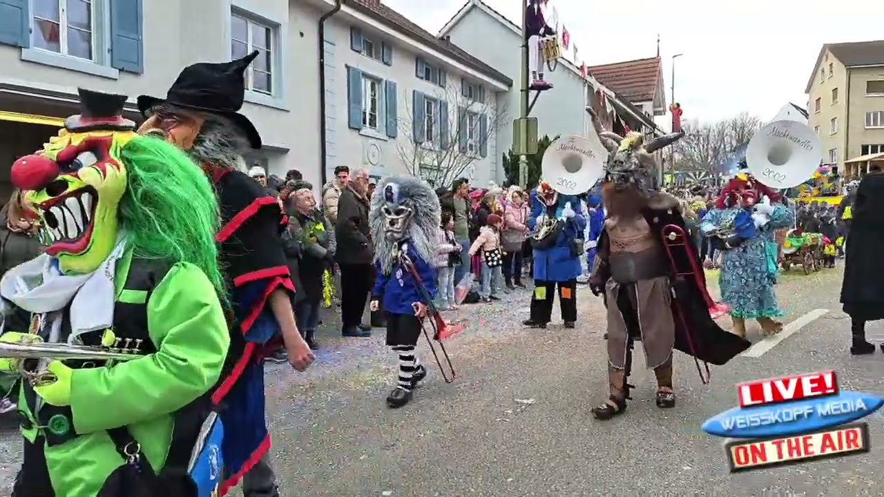 Fasnacht Oberwil 01.03.2025 Teil1