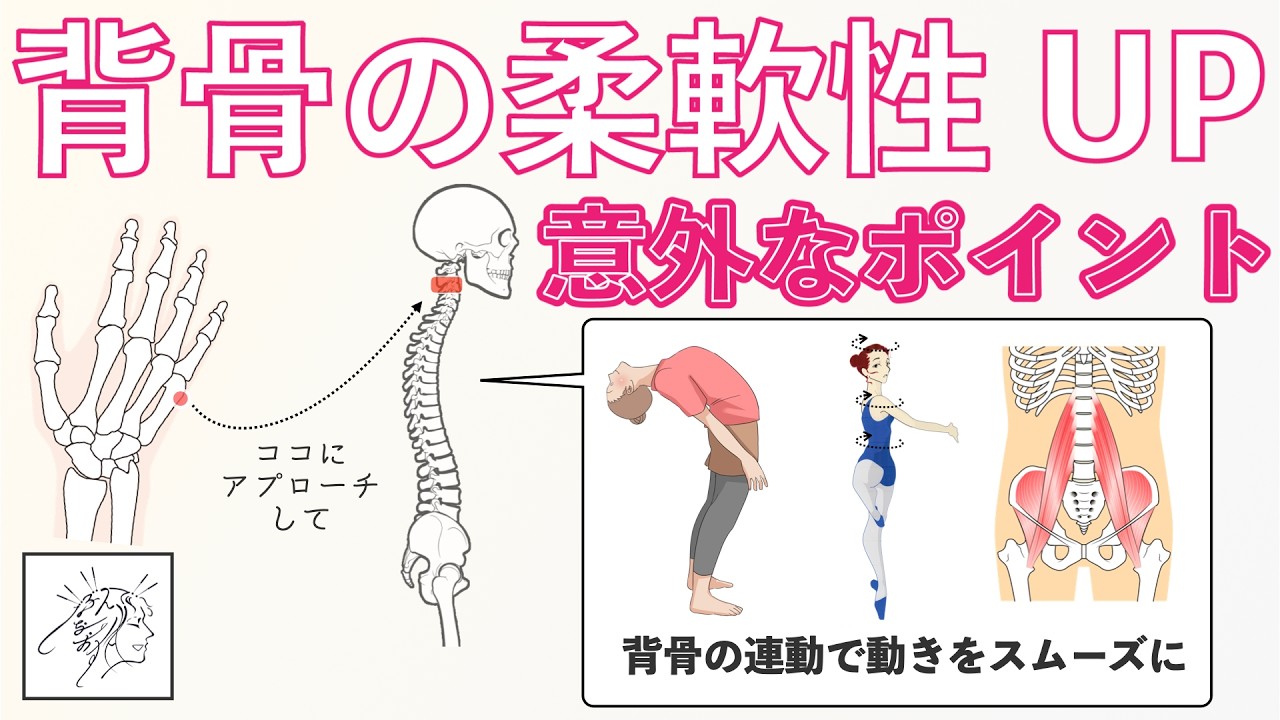 背骨の柔軟性をUPする意外なポイント｜ツボの押さえ方と３つのパーツを動かすことで背中の硬さ、姿勢改善、首こり、股関節に硬さに活かす