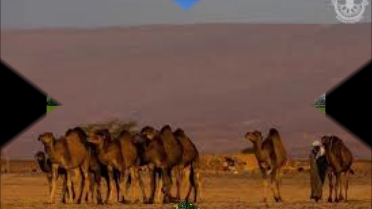 . سرحد ءُ پلین مکران. شاعر: یونس بلوچ .وش گوش: محمد اسحاق بلوچ نسب. سرودی علی بلوچ