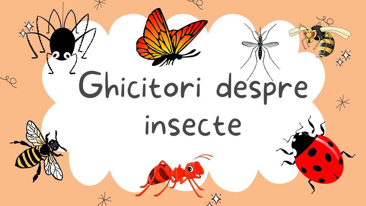 Cele mai frumoase ghicitori despre insecte - 14 ghicitori despre insecte pentru copii