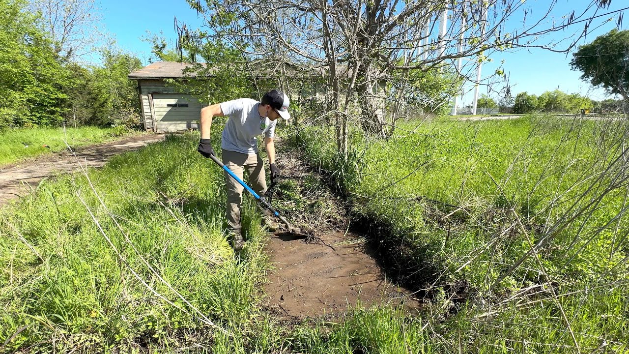 Age CAUGHT UP with the owner, leaving this yard UNTOUCHED for 5 YEARS