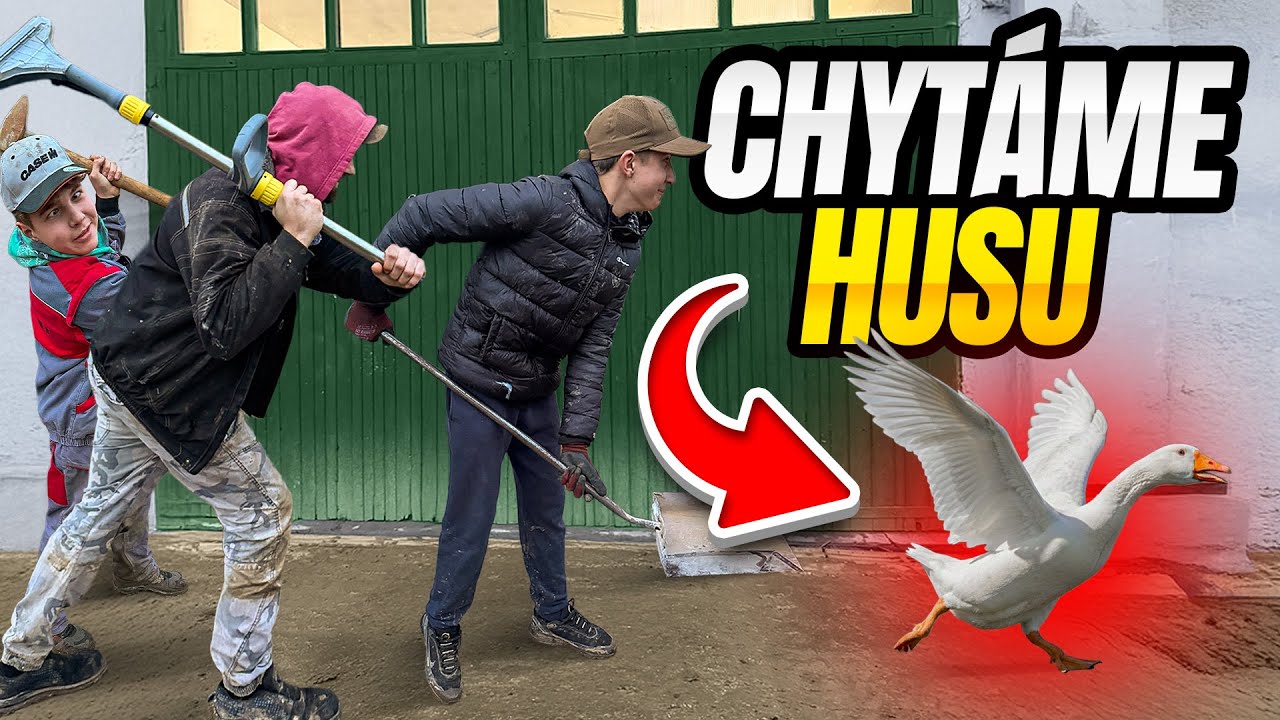 CHYTÁME HUSU!!! 🦆🦆🦆
