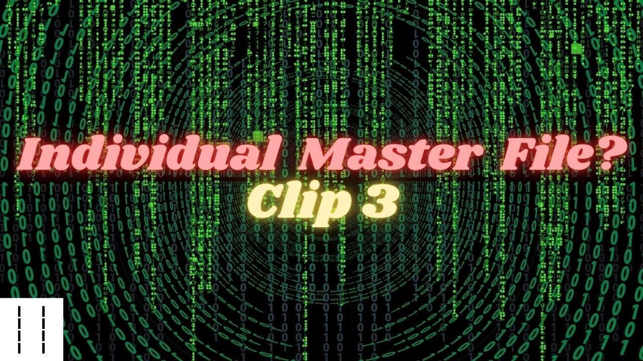 Individual Master File, Death Master File, CAFR Clip  3  Taxes Voluntary?