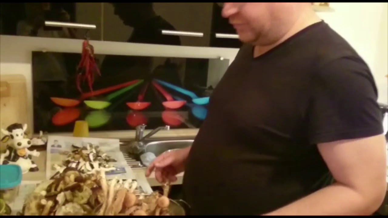 Hallimasch richtig zubereiten