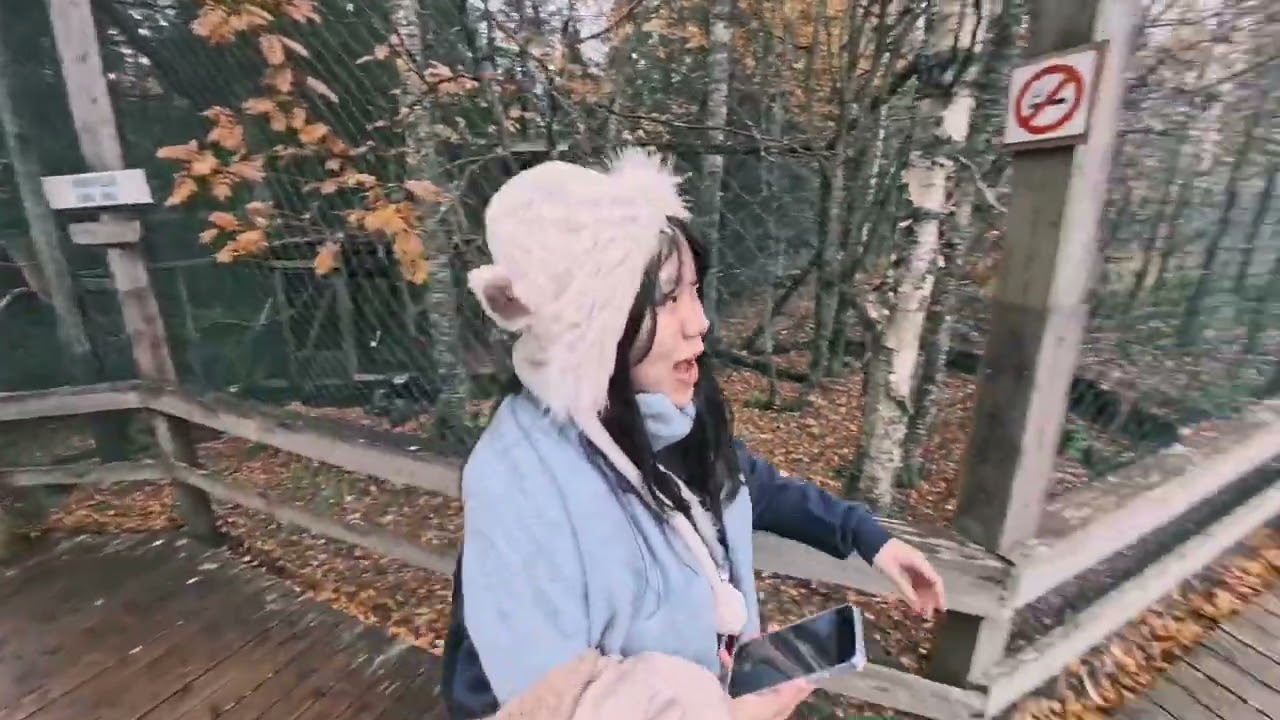 Vlog 7: Ranua zoo trip